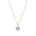 The Aquamarine Amber Necklace